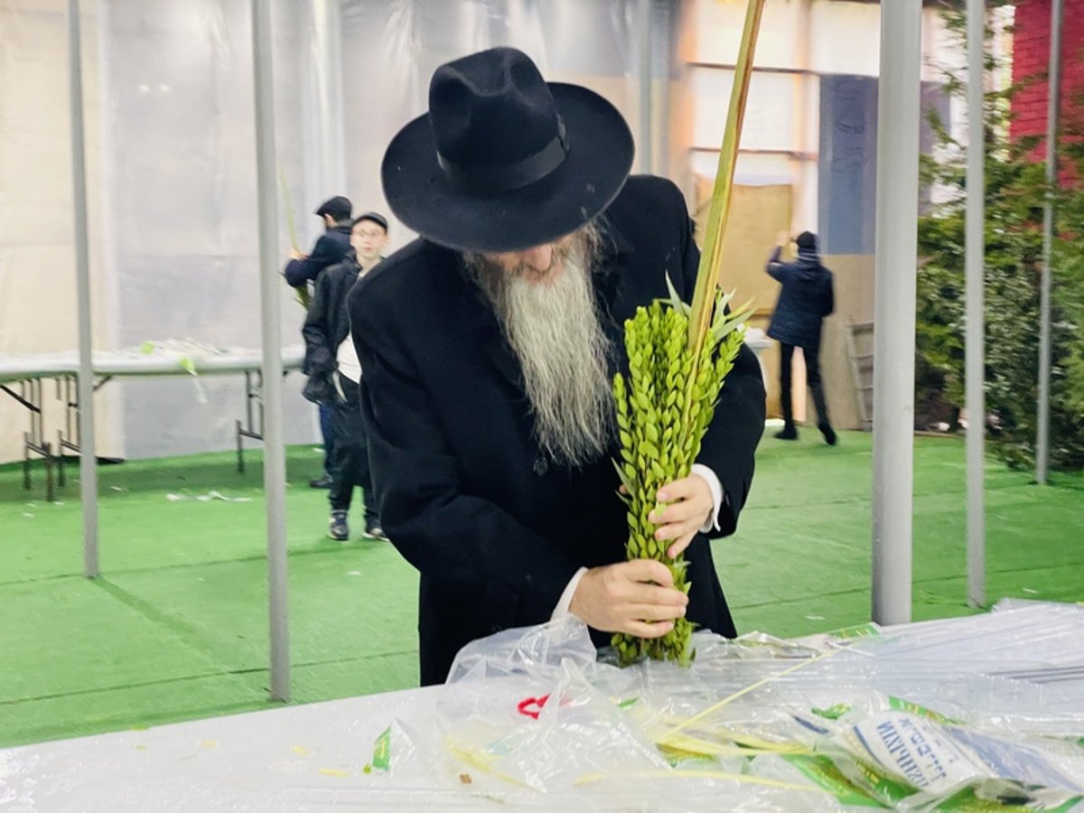 תחת גשם זלעפות: סוכות בבירת רוסיה • צפו