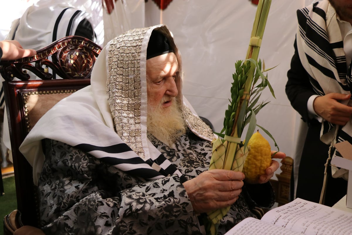 נטילת לולב ושמחת חג אצל הגר"מ שטרנבוך