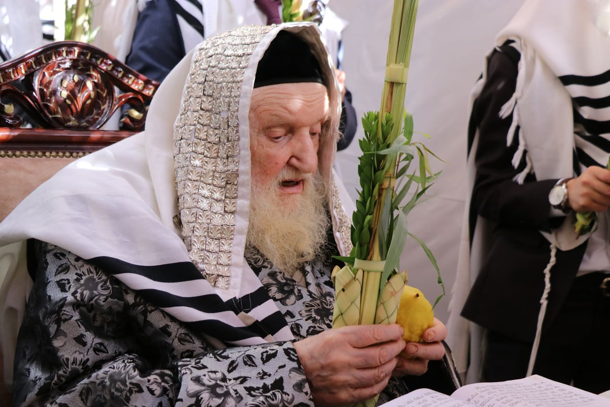 נטילת לולב ושמחת חג אצל הגר"מ שטרנבוך