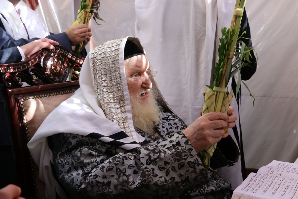 נטילת לולב ושמחת חג אצל הגר"מ שטרנבוך