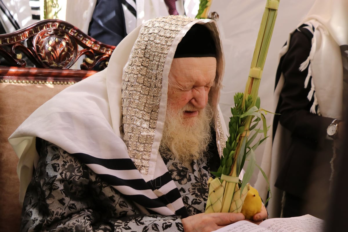 נטילת לולב ושמחת חג אצל הגר"מ שטרנבוך