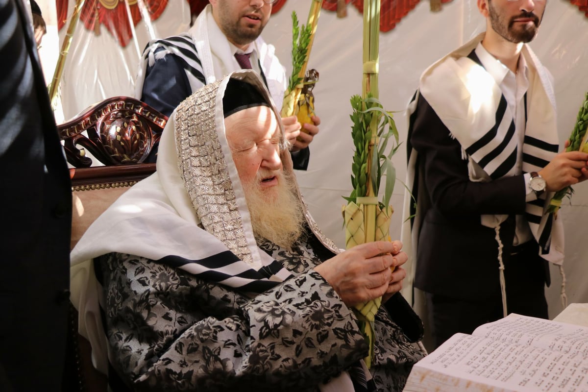 נטילת לולב ושמחת חג אצל הגר"מ שטרנבוך