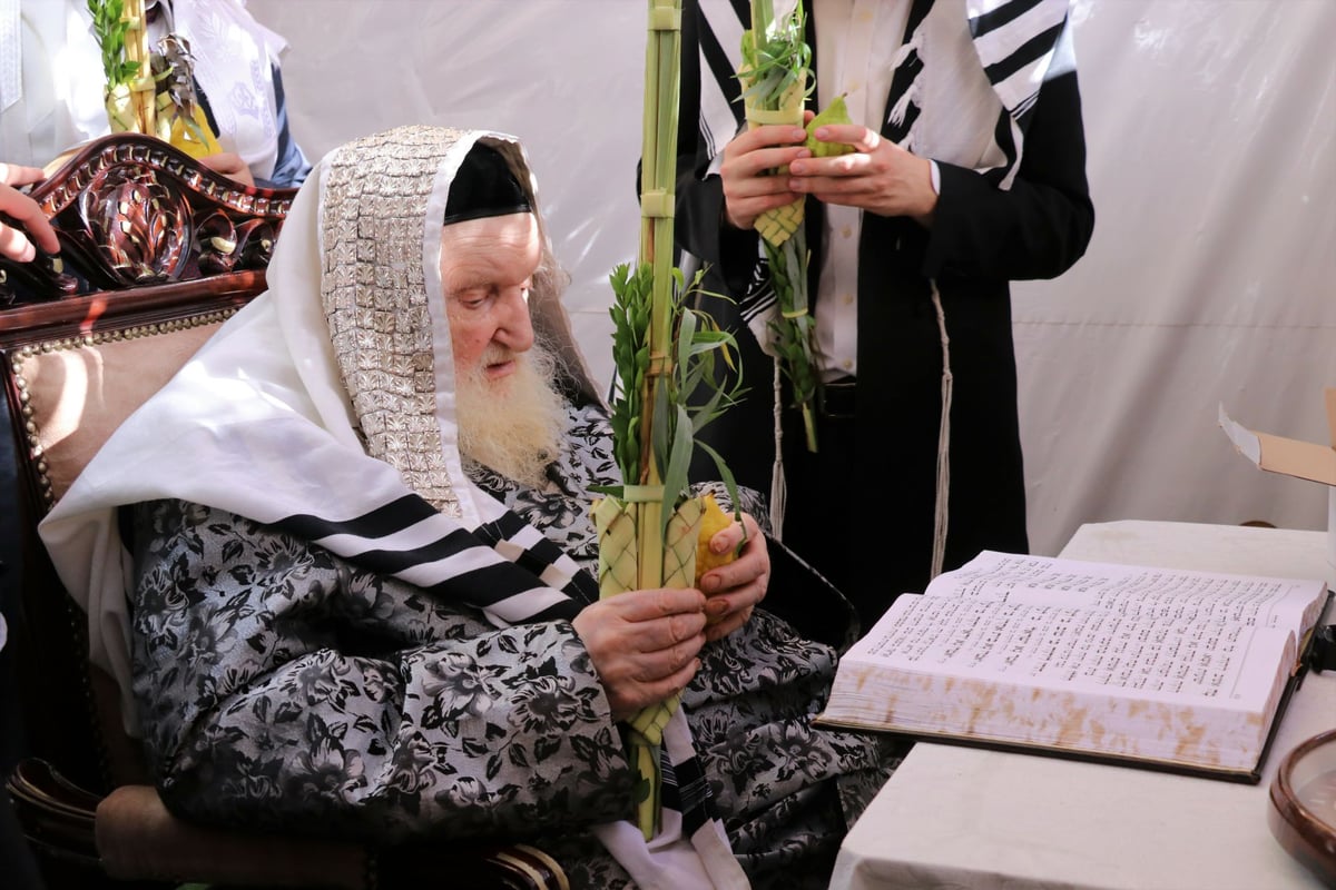 נטילת לולב ושמחת חג אצל הגר"מ שטרנבוך