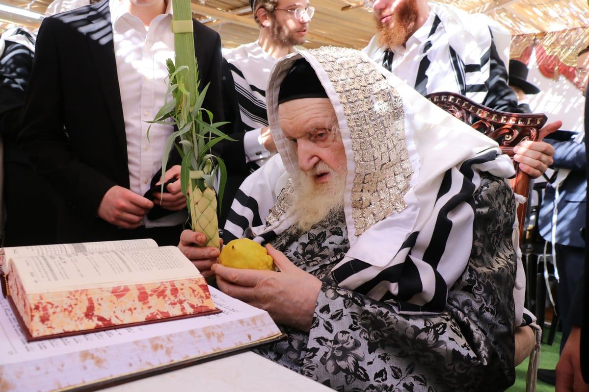 נטילת לולב ושמחת חג אצל הגר"מ שטרנבוך