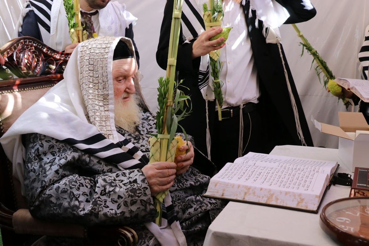 נטילת לולב ושמחת חג אצל הגר"מ שטרנבוך