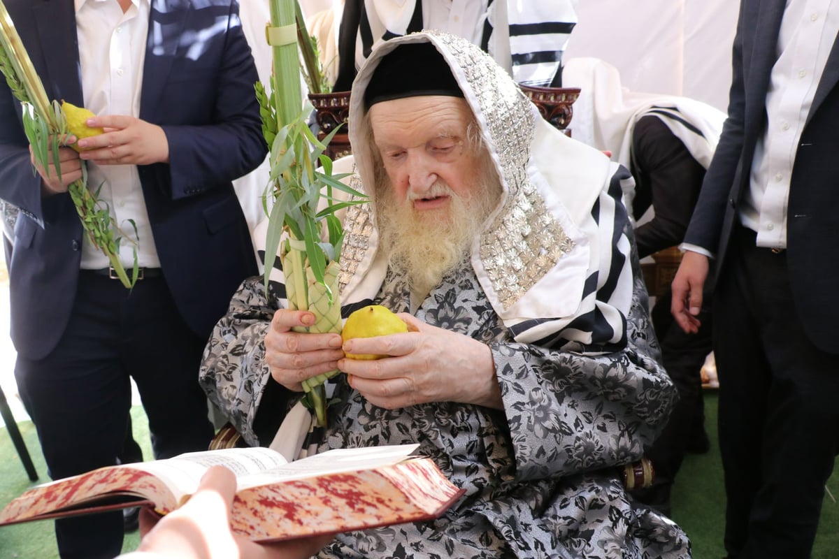 נטילת לולב ושמחת חג אצל הגר"מ שטרנבוך