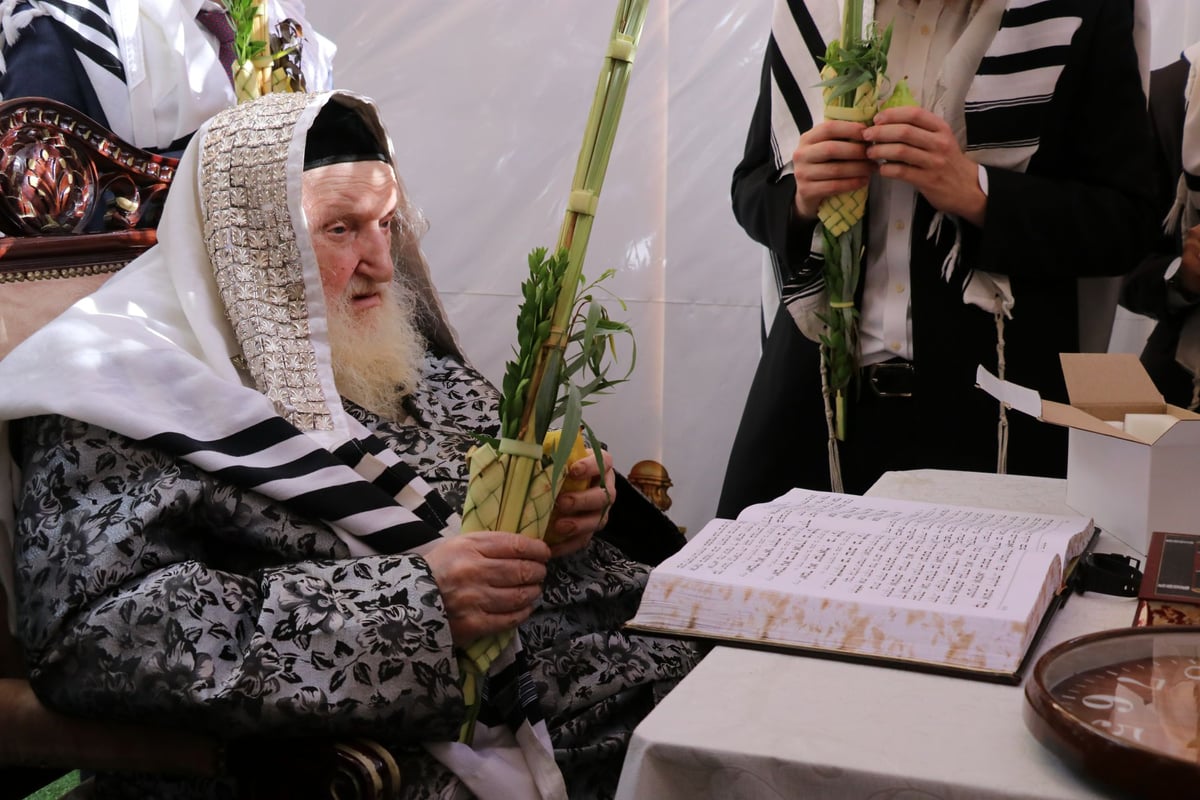 נטילת לולב ושמחת חג אצל הגר"מ שטרנבוך