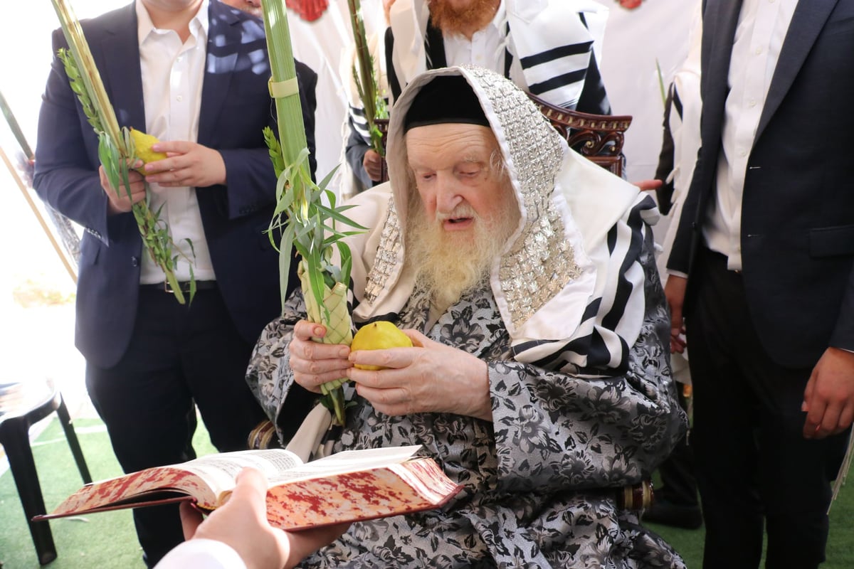 נטילת לולב ושמחת חג אצל הגר"מ שטרנבוך