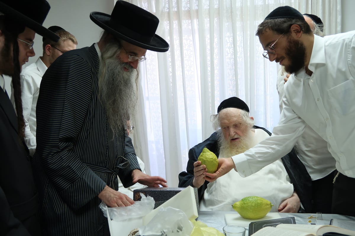 נטילת לולב ושמחת חג אצל הגר"מ שטרנבוך