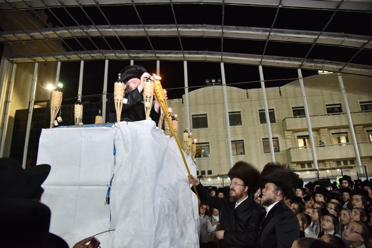 שמחת בית השואבה המרכזית בבעלזא • צפו