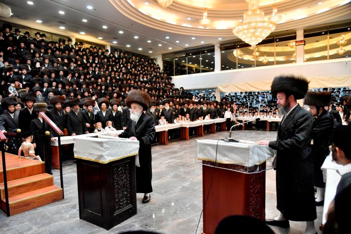 בויז'ניץ חגגו הכנסת ספר תורה חדש ושמחת בית השואבה