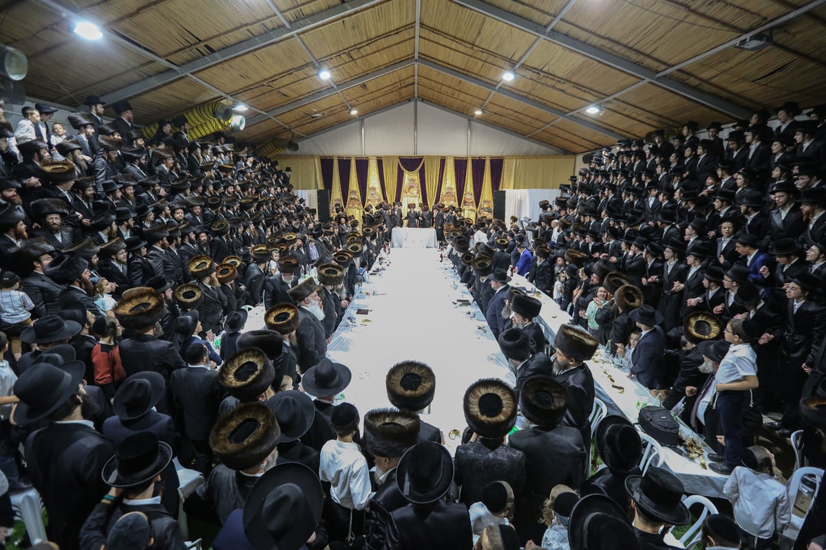 תיעוד מרהיב: שמחת בית השואבה בסאדיגורה