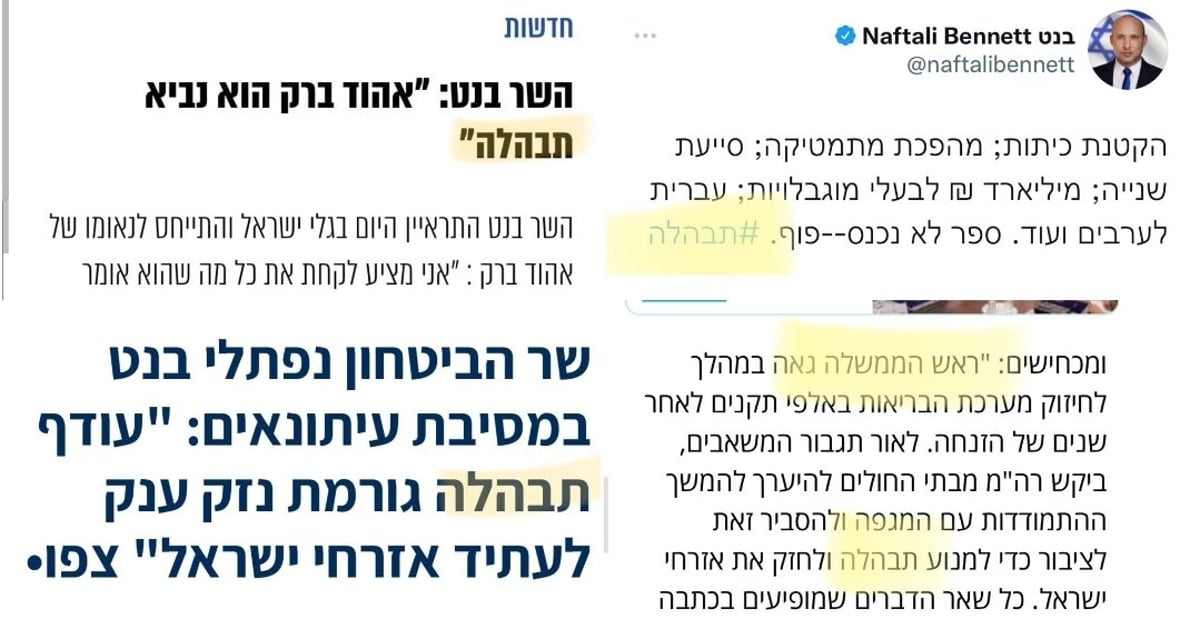 יש בכיר בממשלה שמאוהב ממש במילה **תבהלה**