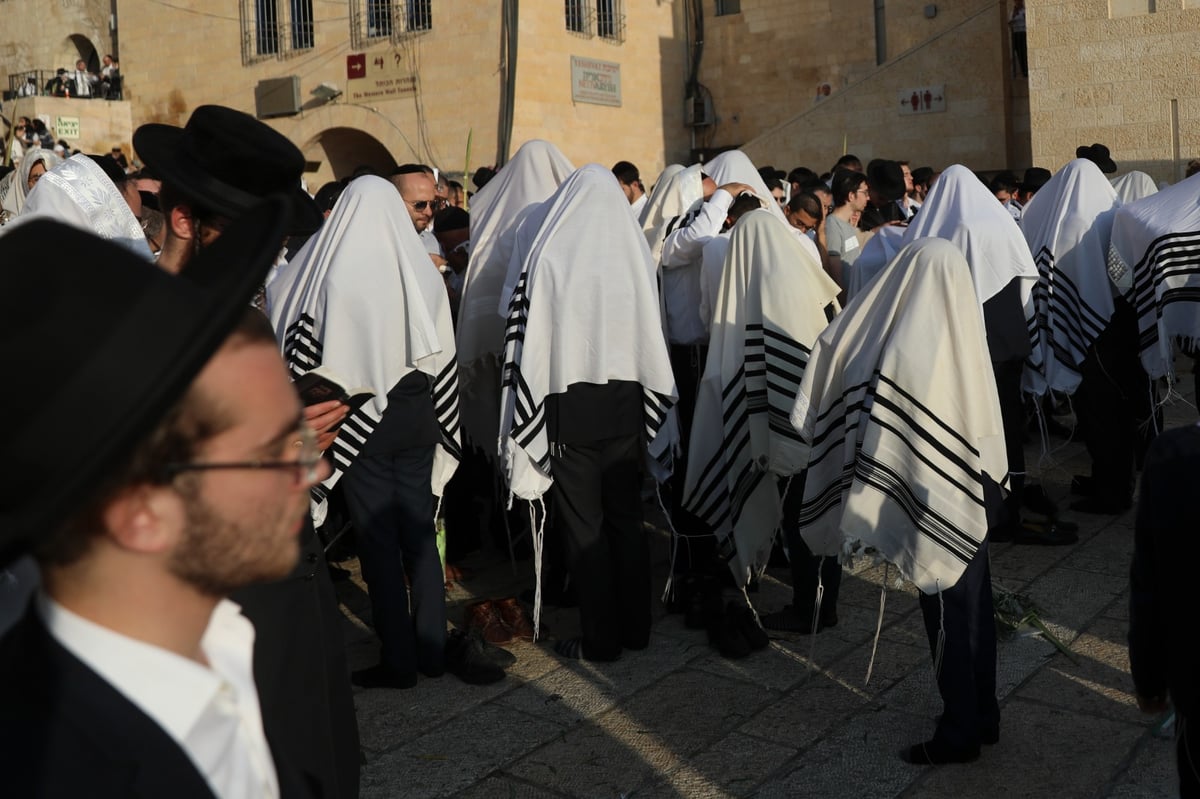 תיעוד: תפילת הושענא רבה בכותל המערבי