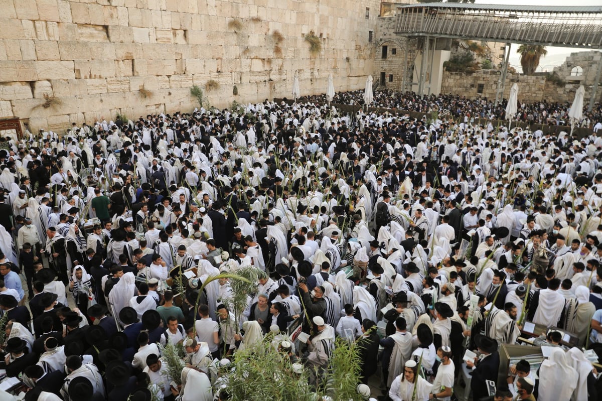 תיעוד: תפילת הושענא רבה בכותל המערבי