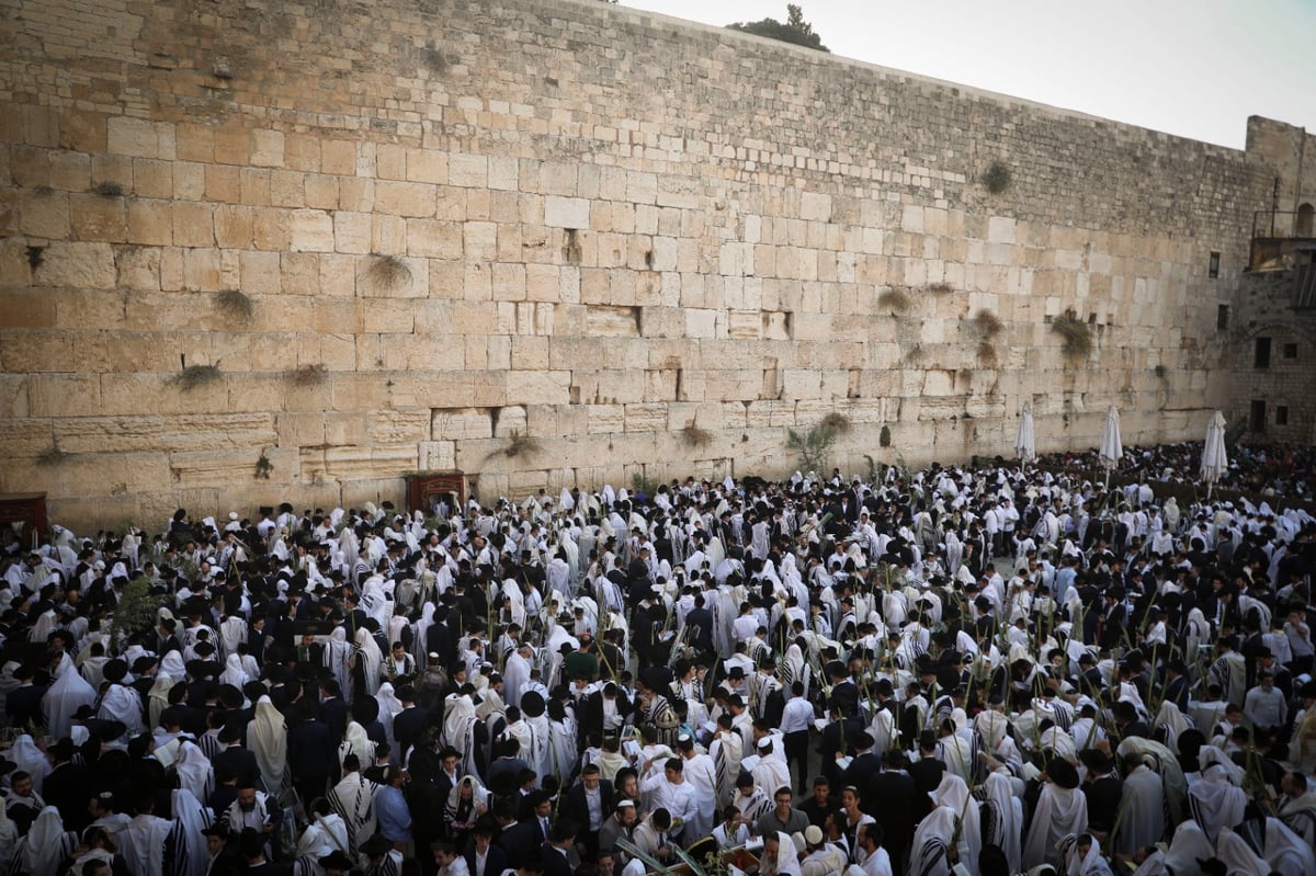 תיעוד: תפילת הושענא רבה בכותל המערבי