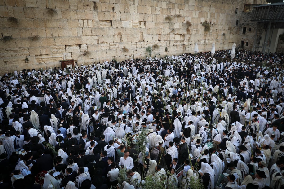 תיעוד: תפילת הושענא רבה בכותל המערבי