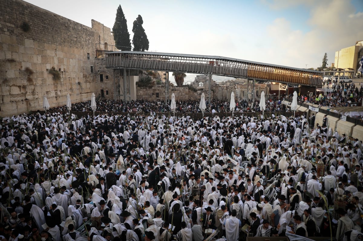 תיעוד: תפילת הושענא רבה בכותל המערבי