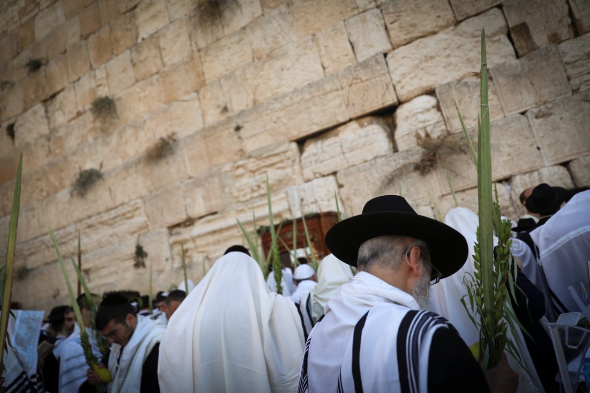 תיעוד: תפילת הושענא רבה בכותל המערבי