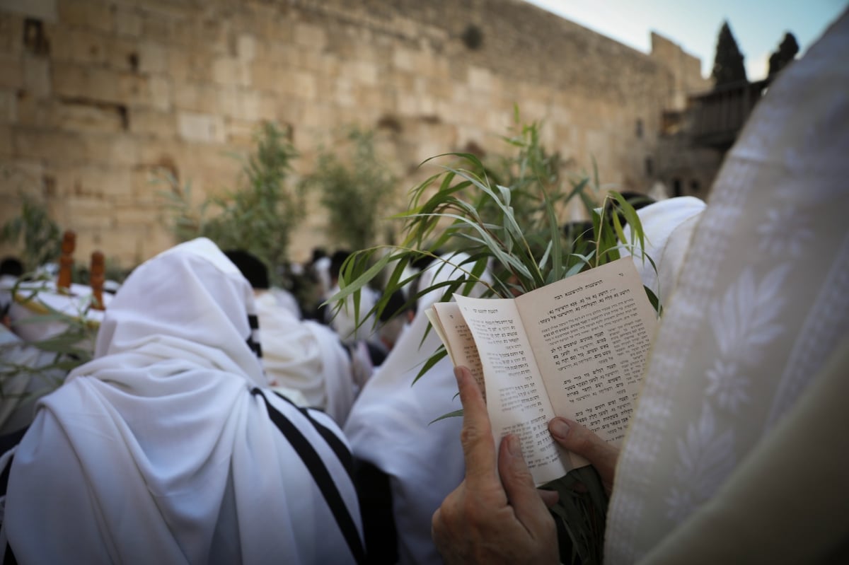 תיעוד: תפילת הושענא רבה בכותל המערבי