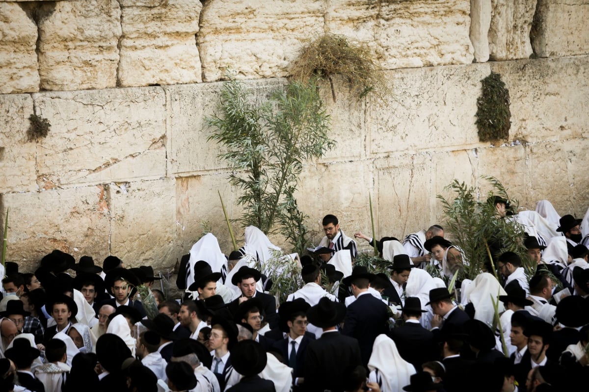 תיעוד: תפילת הושענא רבה בכותל המערבי