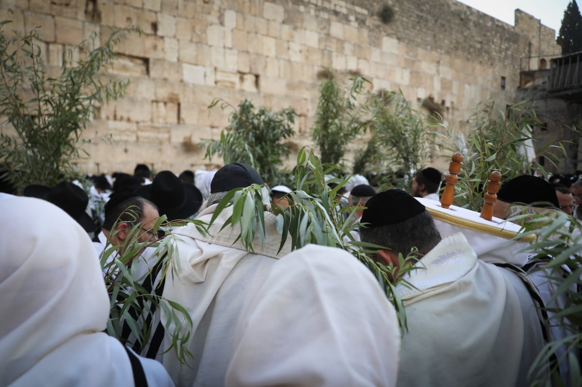 תיעוד: תפילת הושענא רבה בכותל המערבי