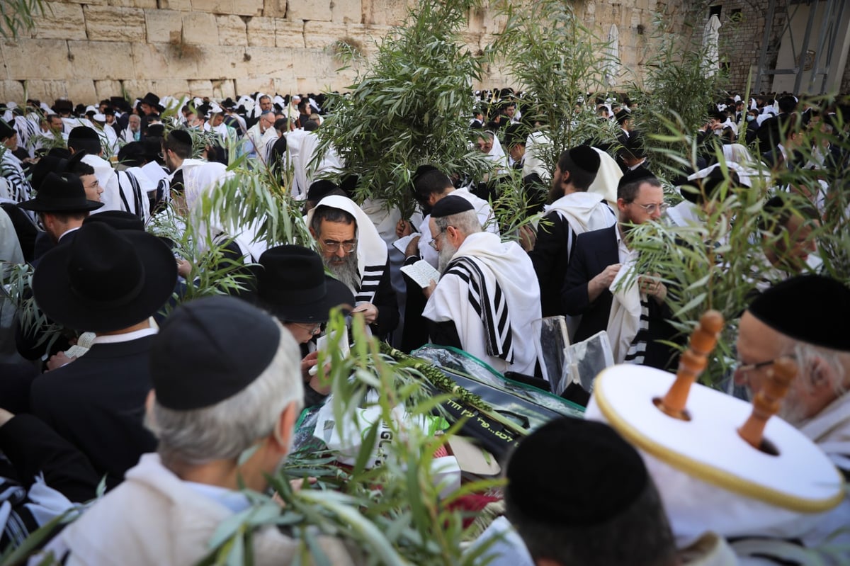 תיעוד: תפילת הושענא רבה בכותל המערבי