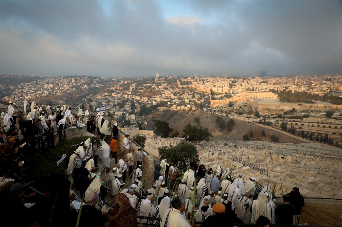 וותיקין של הושענא רבה מול הר הבית • צפו