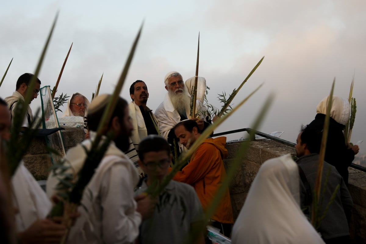 וותיקין של הושענא רבה מול הר הבית • צפו