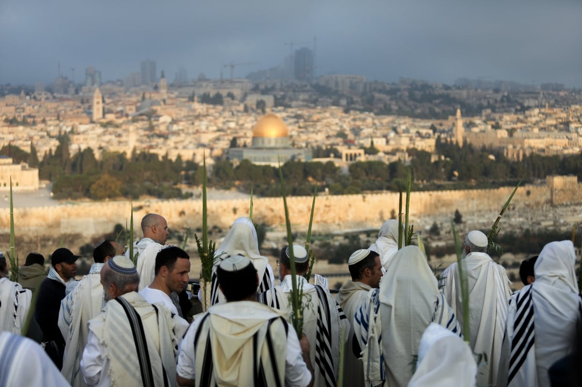 וותיקין של הושענא רבה מול הר הבית • צפו