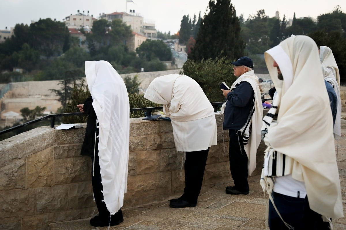 וותיקין של הושענא רבה מול הר הבית • צפו