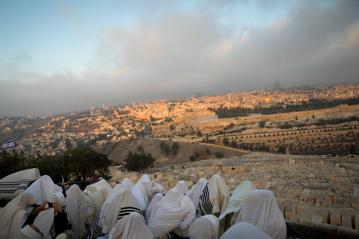 וותיקין של הושענא רבה מול הר הבית • צפו