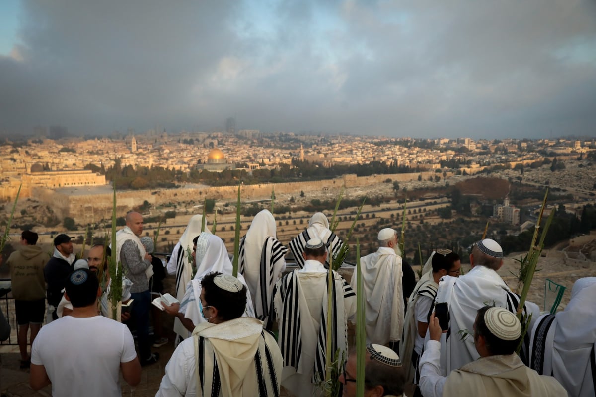 וותיקין של הושענא רבה מול הר הבית • צפו