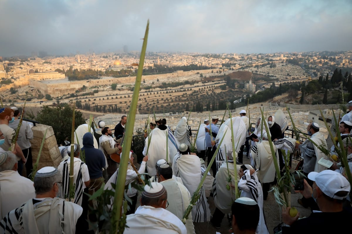 וותיקין של הושענא רבה מול הר הבית • צפו