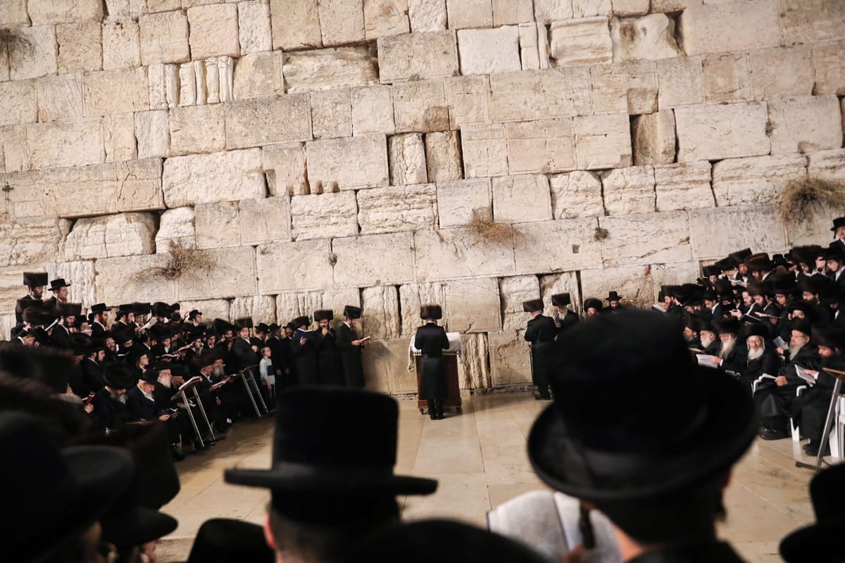 האדמו"ר מסאדיגורה הגיע לתפילה ב'כותל'