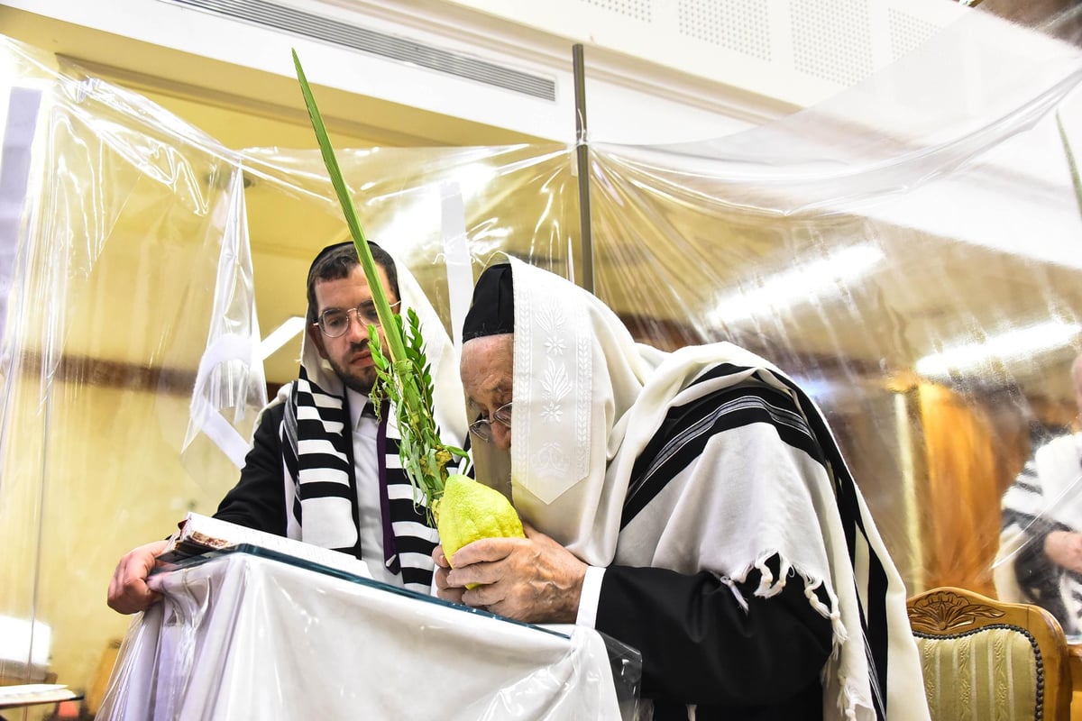 תיעוד: חגי תשרי במחיצתו של חבר 'המועצת', הגרמ"צ ברגמן