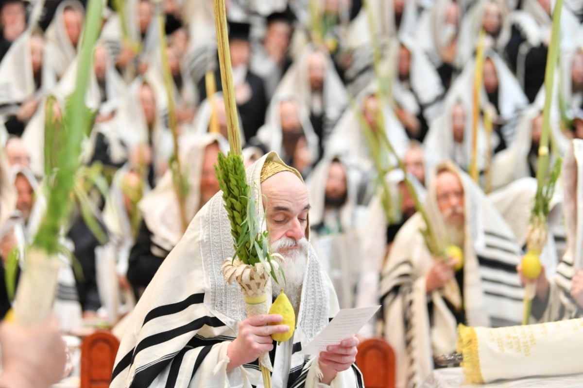 מראות הושענא רבה וחג הסוכות בויז'ניץ