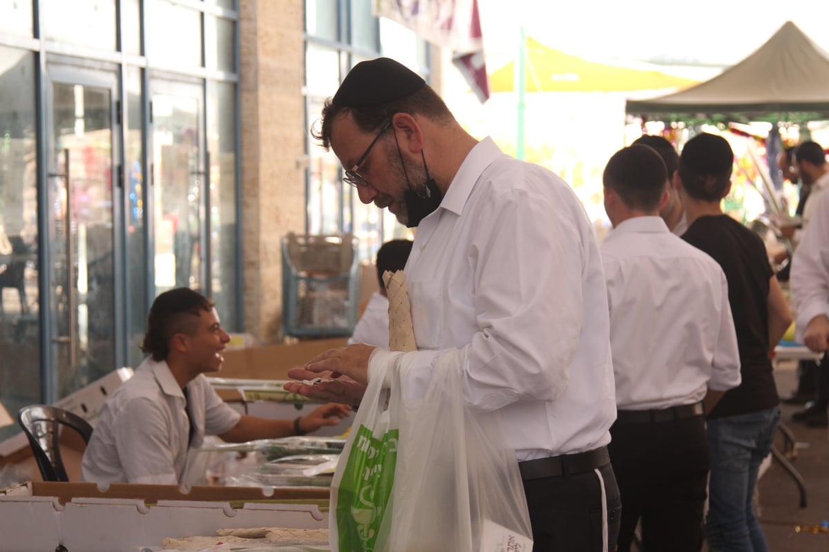 זופניק בכיכר • כל התמונות והנייעס של חגי תשרי