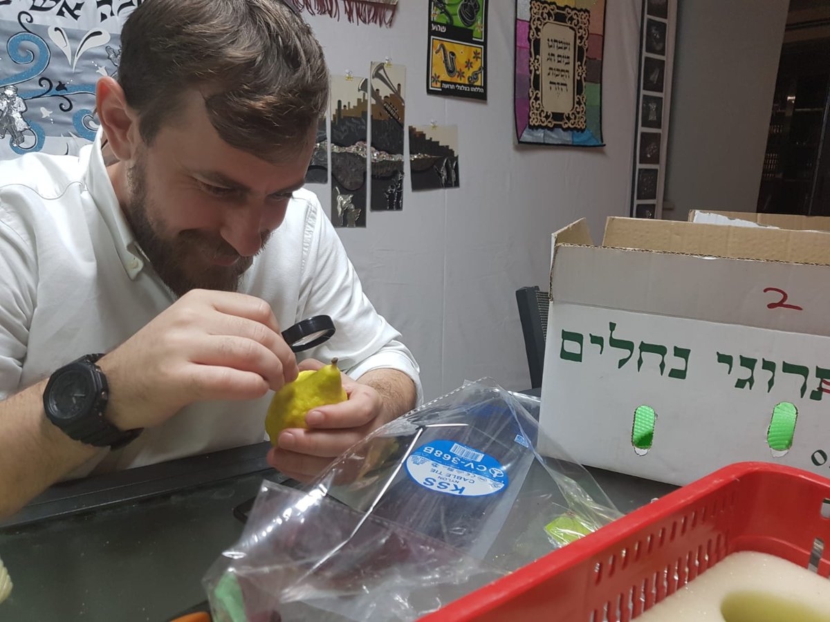 זופניק בכיכר • כל התמונות והנייעס של חגי תשרי