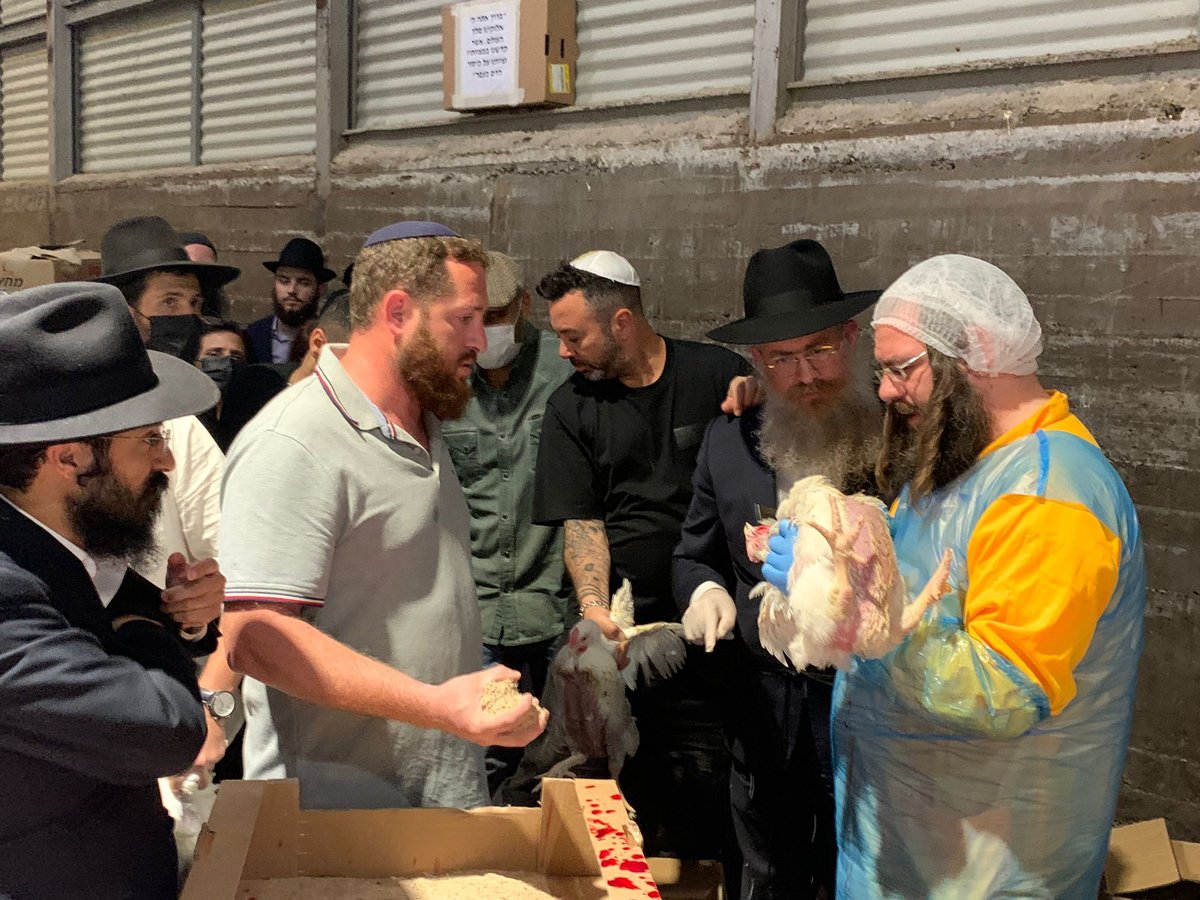 זופניק בכיכר • כל התמונות והנייעס של חגי תשרי