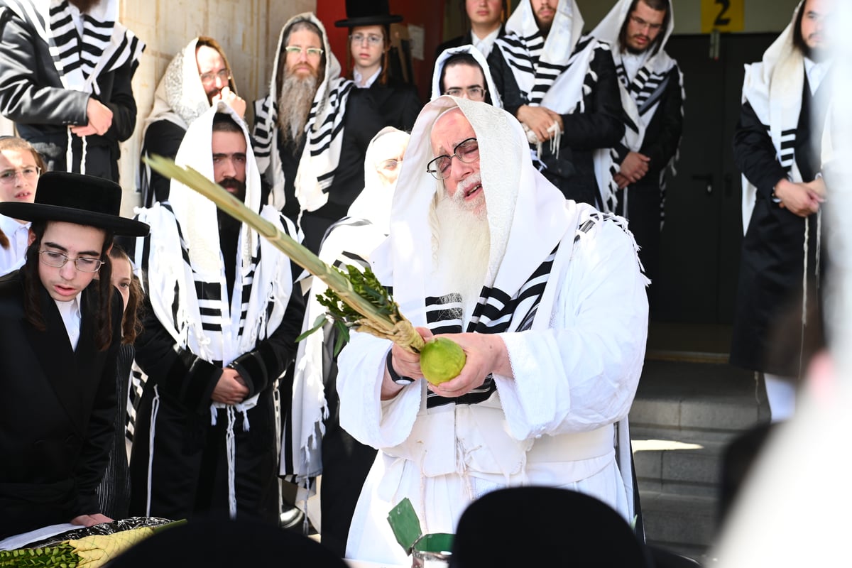 תפילות ו'טישים': מראות חג הסוכות ושמחת תורה בצאנז