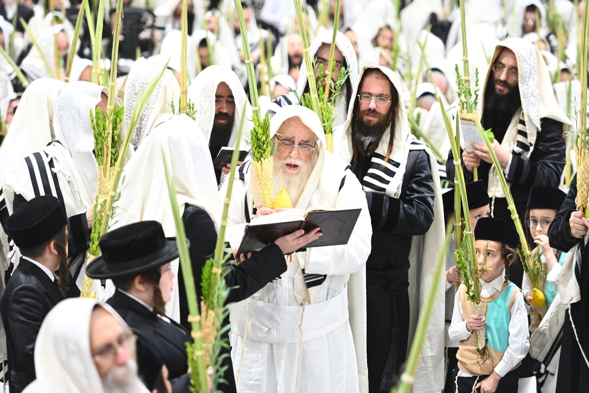 תפילות ו'טישים': מראות חג הסוכות ושמחת תורה בצאנז