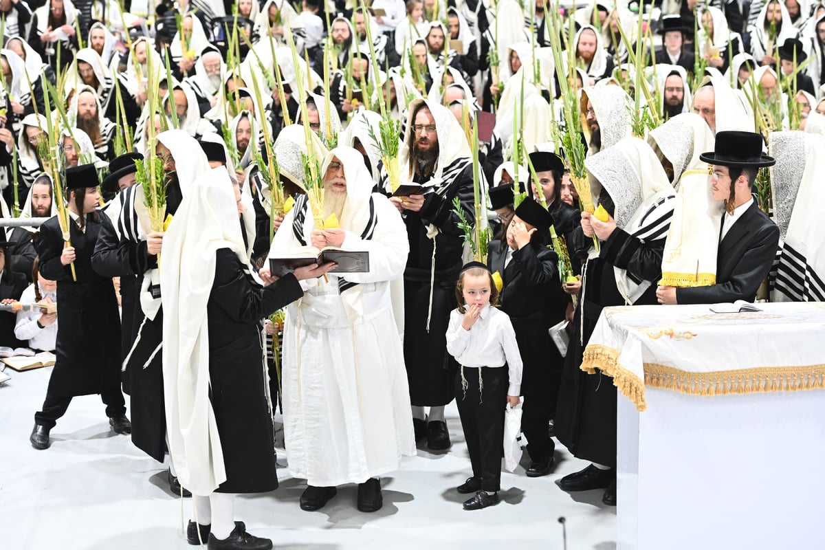 תפילות ו'טישים': מראות חג הסוכות ושמחת תורה בצאנז