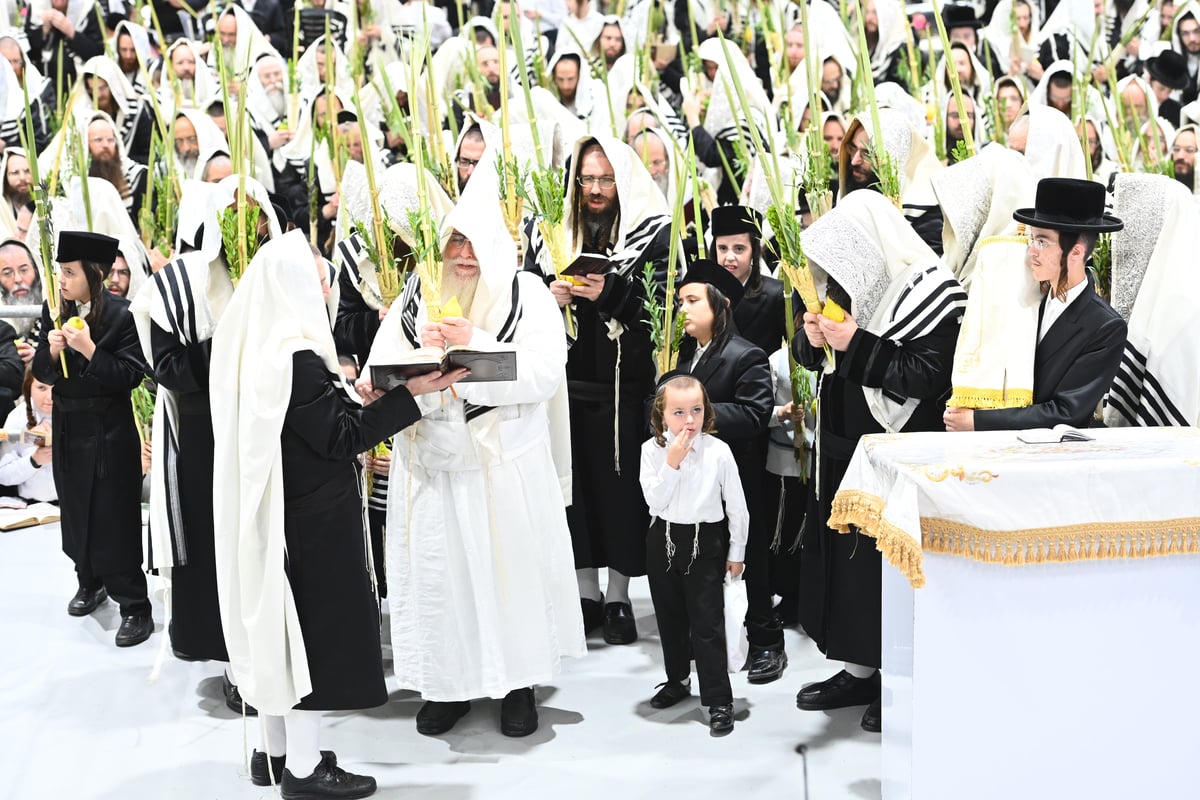 תפילות ו'טישים': מראות חג הסוכות ושמחת תורה בצאנז