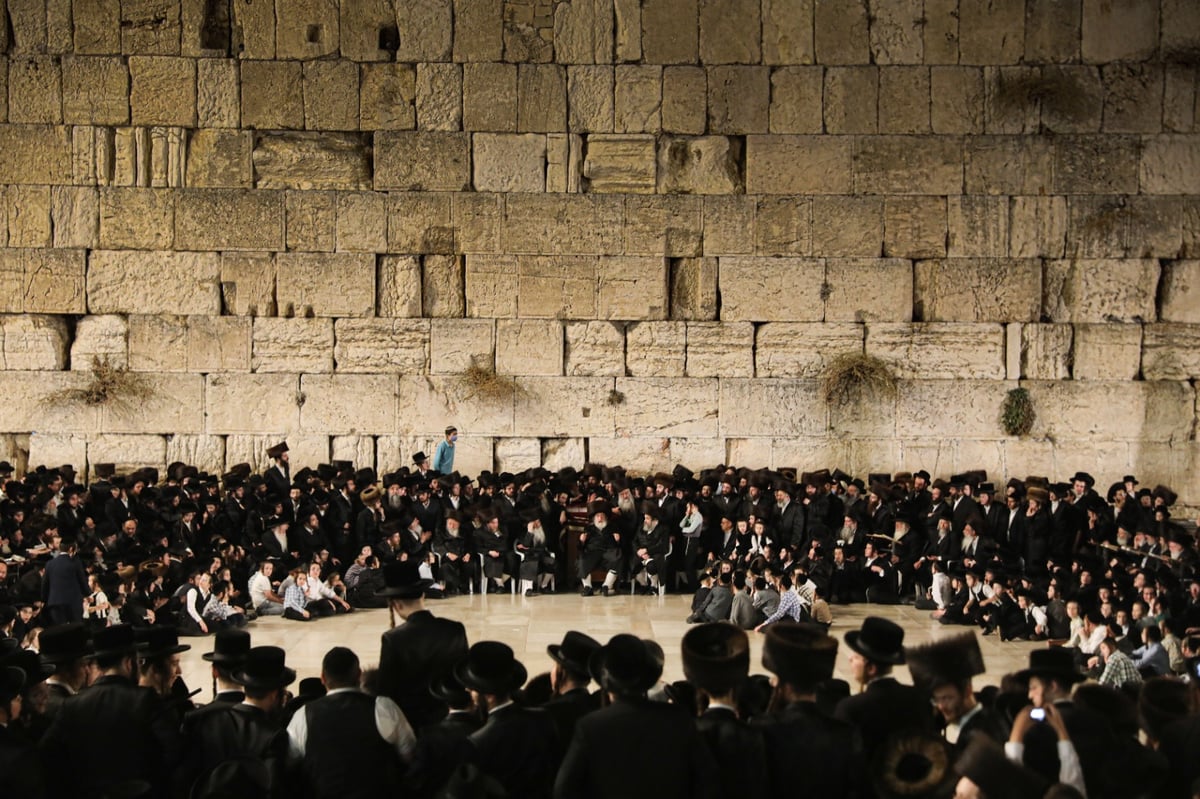 בראשות האדמו"ר: חסידי ויז'ניץ התפללו בכותל