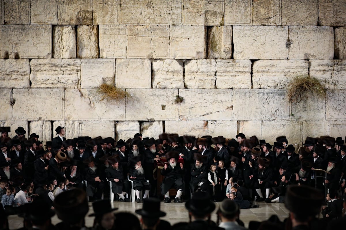 בראשות האדמו"ר: חסידי ויז'ניץ התפללו בכותל