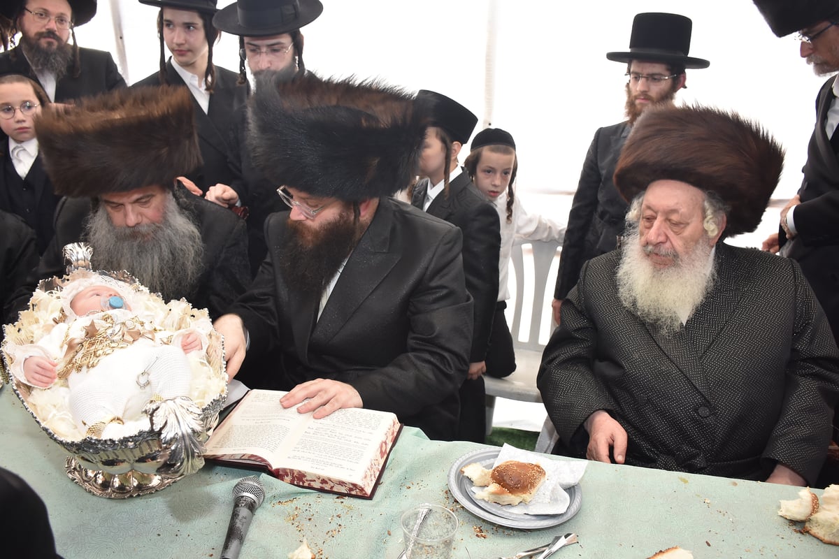 פדיון הבן לנכד האדמו"ר מקוידינוב • גלריה