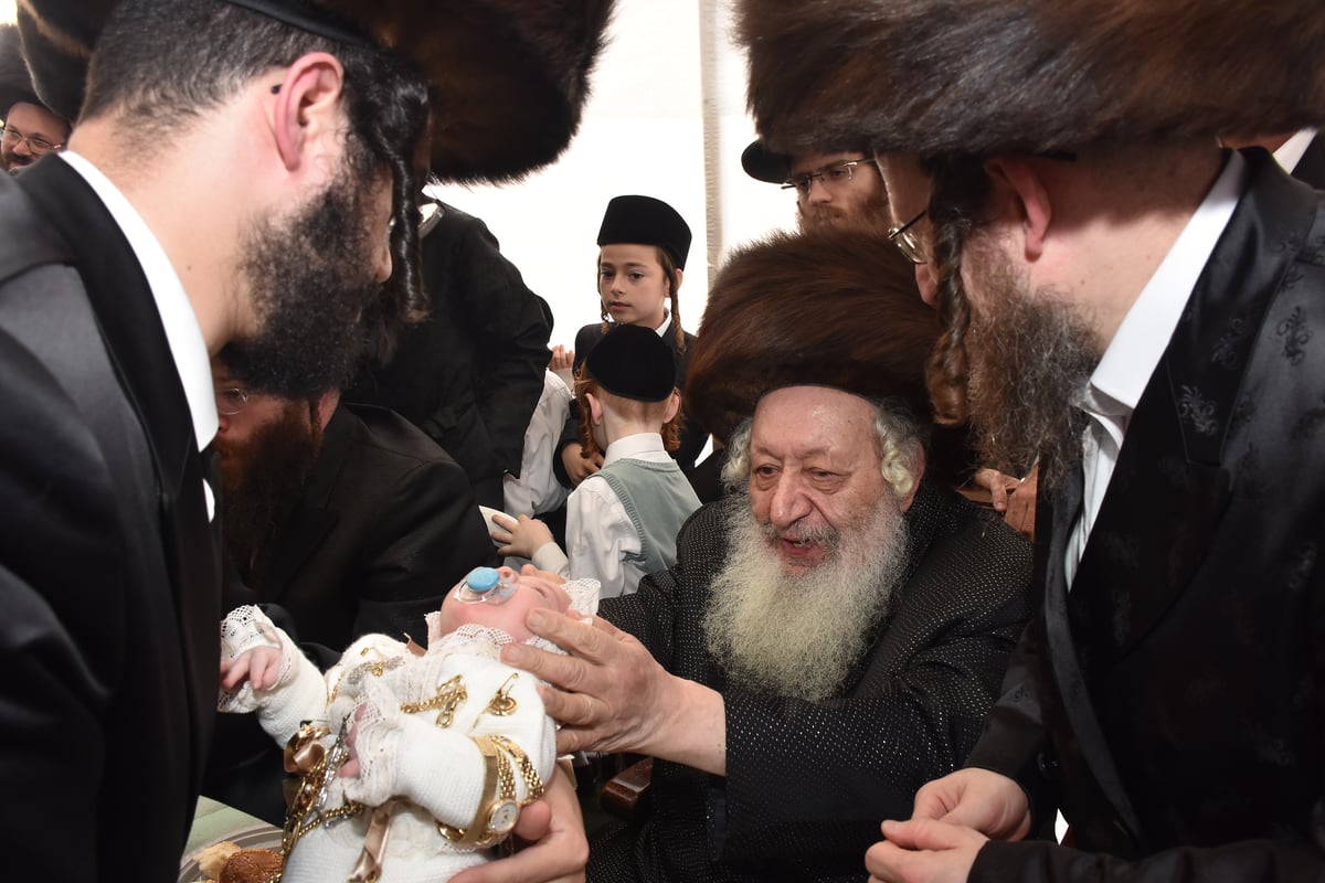 פדיון הבן לנכד האדמו"ר מקוידינוב • גלריה