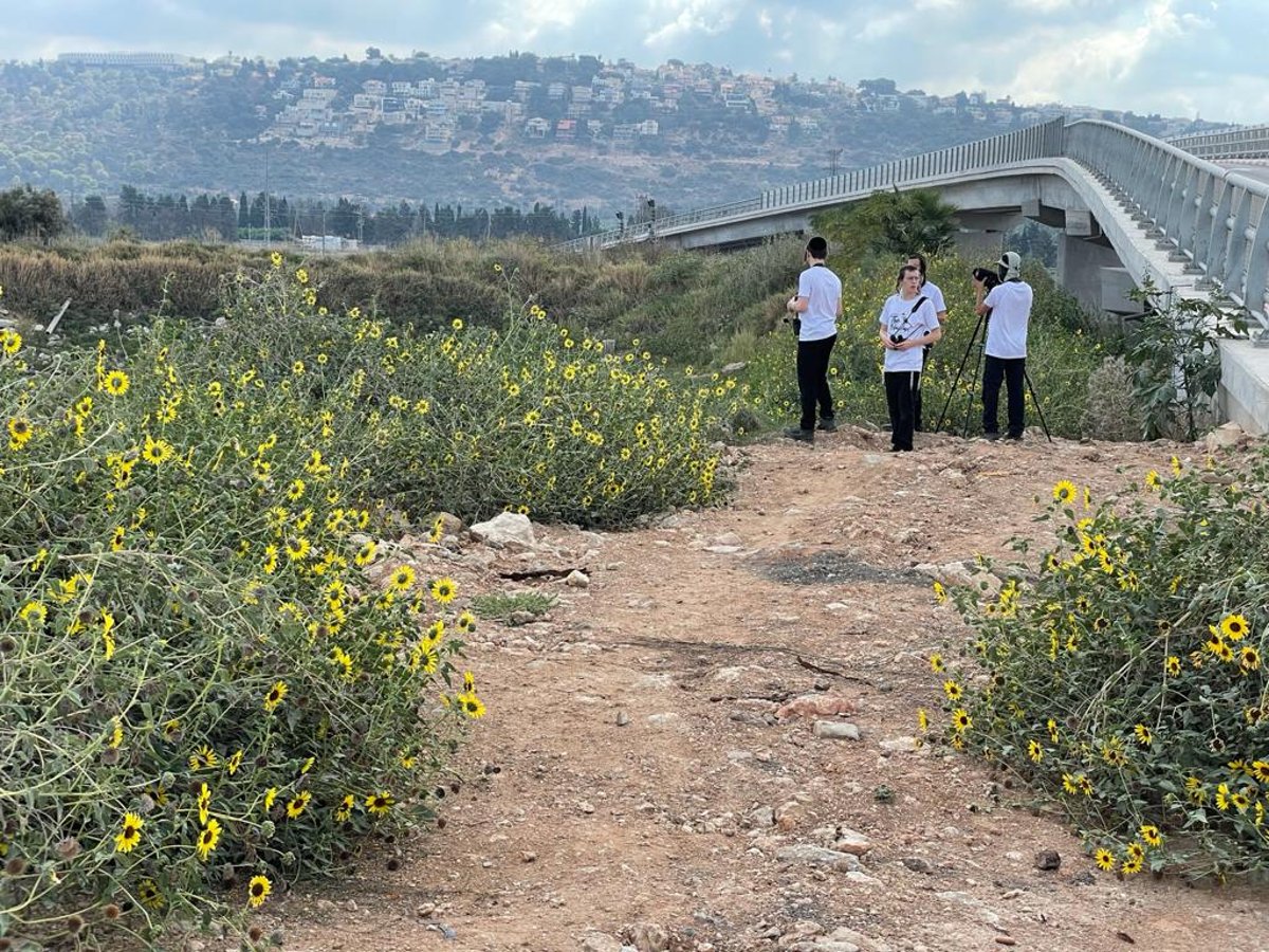 חברי קבוצת 'שחורי הכיפה' במהלך צפייה בציפורים