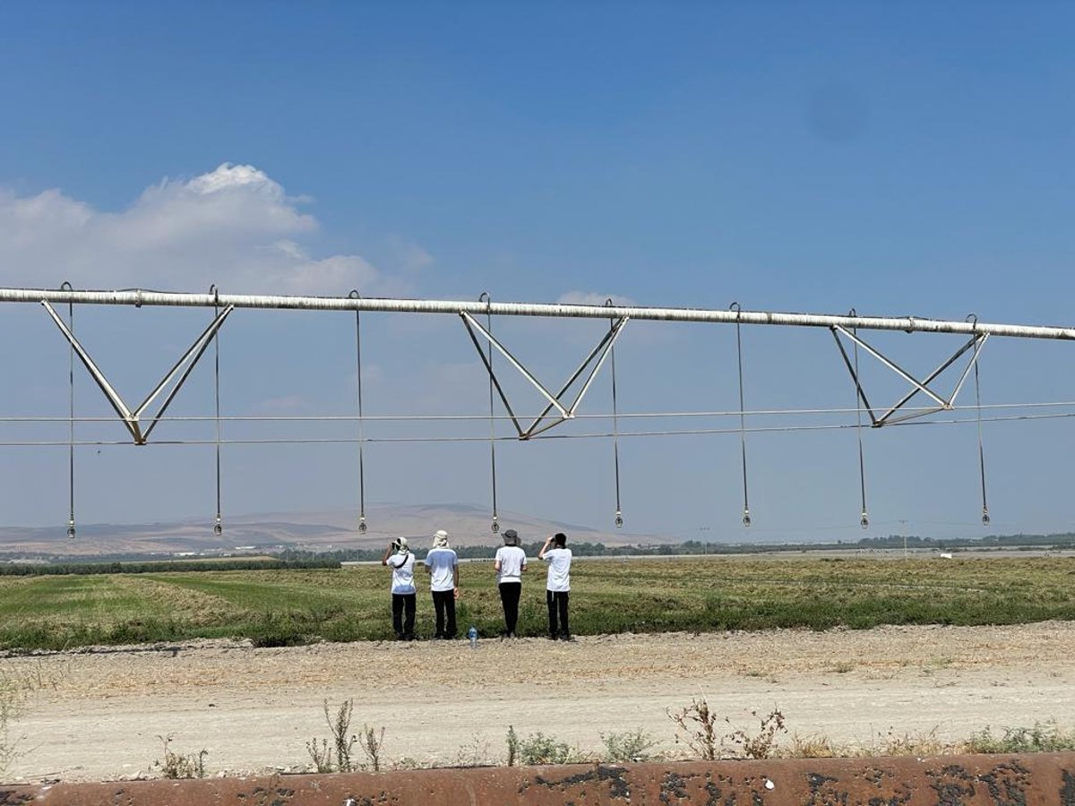 חברי קבוצת 'שחורי הכיפה' במהלך צפייה בציפורים